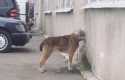 фото из инета фото из инета